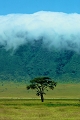 cratre du ngorongoro